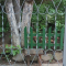 Решётка на окно сварная 3-80