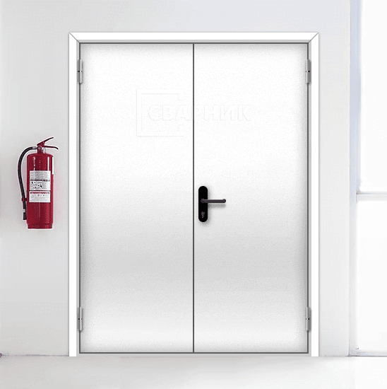 Противопожарная дверь 2-го типа на кровлю двупольная глухая — фото 4