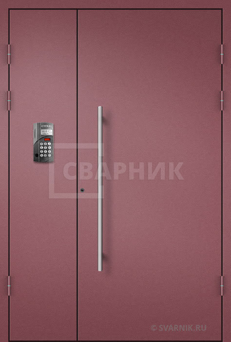 Дверь для установки в подъезд порошковая ПД-12 — фото 1